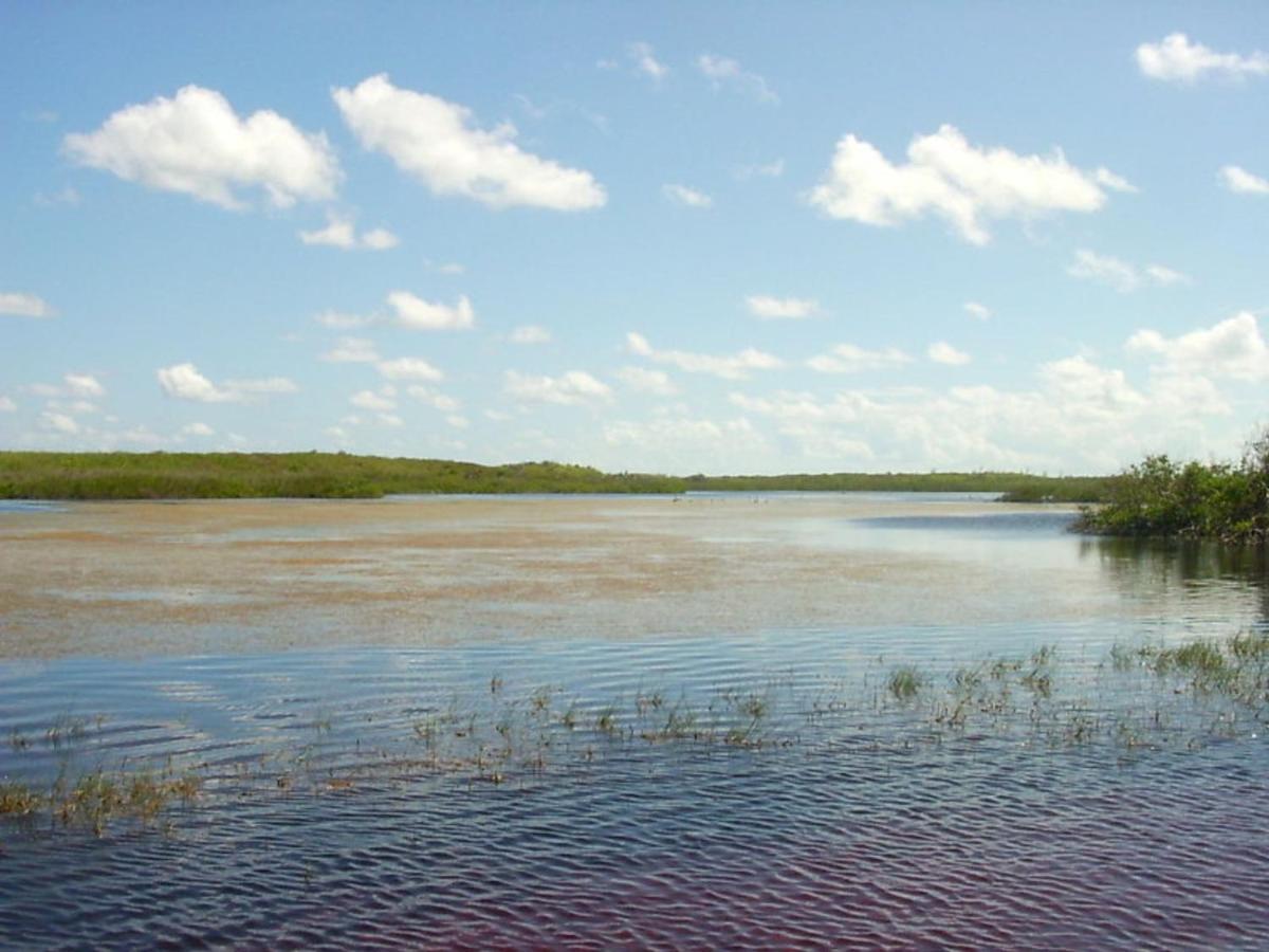 Buttonwood Reserve 2C James Cistern Εξωτερικό φωτογραφία